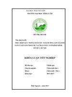 Thực hiện quy trình chăm sóc nuôi dưỡng lợn nái sinh sản và lợn con theo mẹ tại trại chăn nuôi bình minh   mỹ đức   hà nội 