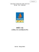 Noi dung 8.2. Dieu le Cong ty co phan PVI