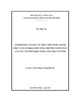 Ảnh hưởng của đầu tư trực tiếp nước ngoài (FDI) và xuất khẩu đến tăng trưởng năng suất các yếu tố tổng hợp (TFPG ), mức độ cấp tỉnh 