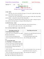 Giáo án mĩ thuật đan mạch theo chủ đề   lớp 3 