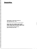 Báo cáo tài chính hợp nhất 6 tháng đầu năm 2017