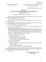 Noi dung 11 Bao cao ket qua ung cu de cu thanh vien HDQT nhiem ky 2012 2017 (final 22.4.2013) theo PVN