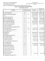 Báo cáo tài chính hợp nhất quý I năm 2017