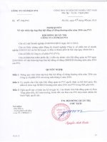 NQ HDQT 01 vv trieu tap hop DHDCD 2016