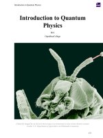 Introduction to Quantum Physics