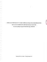 Báo cáo tài chính bán niên Công ty Mẹ đã được soát xét.