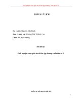 SKKN kinh nghiệm soạn giáo án tiết ôn tập chương  môn đại số 8 