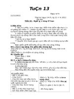 Giáo án lớp 5  hoc kỳ II   trường TH hồng thái tây   tuan13KNS 0d 