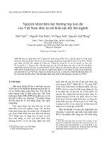 DSpace at VNU: Nguyên nhân thâm hụt thương mại kéo dài của Việt Nam nhìn từ mô hình cân đối liên ngành Bai 3[1]. Bui Trinh