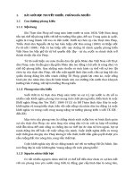 Tiểu luận tư tưởng HCM