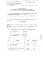 nghi quyet dh co dong thuong nien 2012