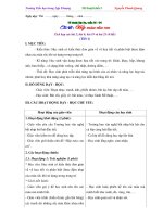 Giáo án mĩ thuật đan mạch theo chủ đề   lớp 3 