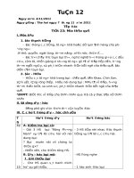 Giáo án lớp 5  hoc kỳ II   trường TH hồng thái tây   tuan12s KNS 