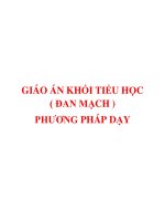 Giáo án mĩ thuật đan mạch theo chủ đề  lớp 1 