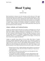 Tài liệu PDF Blood Typing