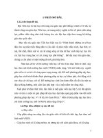 SKKN Một số giải pháp dạy học theo mô hình trường học mới (VNEN) nhân rộng.