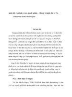 phân tích chuỗi giá trị của doanh nghiệp – công ty cổ phần đầu tư NA