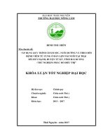 Áp dụng quy trình chăm sóc, nuôi dưỡng và theo dõi bệnh viêm tử cung ở đàn lợn nái nuôi tại trại bùi huy hạnh   huyện tứ kỳ   tỉnh hải dương   thử nghiệm phác đồ điều trị 