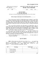 Mẫu số 03.QĐĐCT.TXNK - Quyết định điều chỉnh thuế