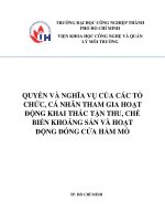 QUYỀN VÀ NGHĨA VỤ CỦA CÁC TỔ CHỨC, CÁ NHÂN THAM GIA HOẠT ĐỘNG KHAI THÁC TẬN THU, CHẾ BIẾN KHOÁNG SẢN VÀ HOẠT  ĐỘNG ĐÓNG CỬA HẦM MỎ