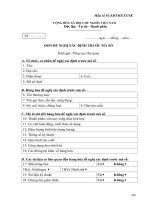 Mẫu số 01.XĐTMS.TXNK - Mẫu đơn xác định trước mã số