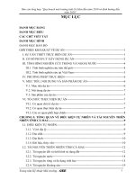 Báo cáo tổng hợp Quy hoạch BVMT tỉnh Cà Mau đến năm 2020