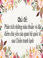 Chủ đề phân tích mâu thuẫn và đặc điểm của thế giới sau chiến tranh lạnh