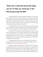 Phân tích cơ hội kinh doanh bất động sản tại VN hiện nay  đánh giá cơ hội marketing trong KD bđs