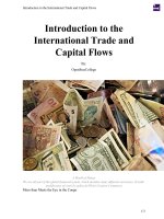 Introduction to the International Trade and Capital Flows