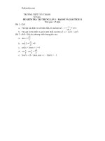 de kiem tra tap trung dai so va giai tich 11 40889