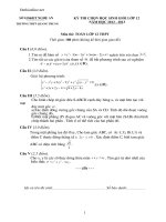 de thi chon hsg toan 12 2012 2013 thpt quang trung 81944