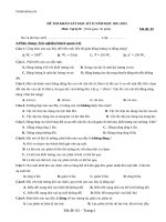 de khao sat thi hkii vat ly 10 hay 38616