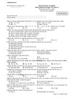 de thi trac nghiem hoa hoc 11 ki 1 5582
