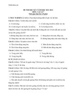 de va dap an kiem tra 1 tiet vat ly 7 36771