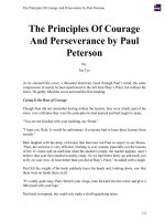 The Principles Of  Courage And Perseverance by Paul Peterson