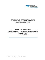QUY TắC ỨNG Xử CÓ ĐạO ĐứC TRONG KINH DOANH TOÀN CầU