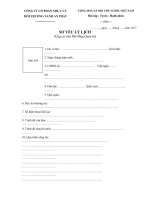 12.Mau so yeu li lich ung vien HDQT