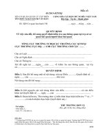 3.mau 03 Quyet dinh sưa doi bo sung QD KTSTQ.3