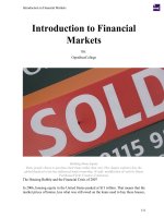 Introduction to Financial Markets