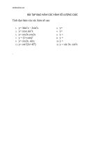 bai toan dao ham cac ham so luong giac 77061