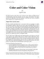 Color and Color Vision