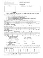 de kiem tra 1 tiet chuong iii dai so 7 2010 2011 59312