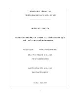 NGHIÊN CỨU THU NHẬN NACETYLDGLUCOSAMINE TỪ DỊCH THỦY PHÂN CHITIN BẰNG CHITINASE