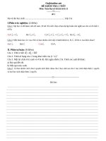 de kiem tra 1 tiet dai so va giai tich 11 hay nhat 89364