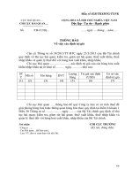 Mẫu số 02B.TBXĐTG.TXNK - Mẫu thông báo về việc xác định trị giá 2.3.2015