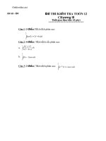 de kiem tra 45 phut chuong iii dai so 12 45575