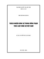 Trách nhiệm hình sự trong đồng phạm theo luật hình sự việt nam 
