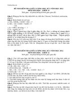 de kiem tra chat luong hki mon hoa hoc khoi 12 88152