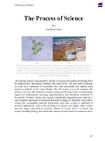The Process of Science