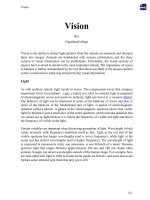 Tài liệu PDF Vision